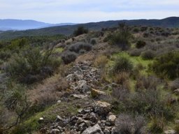 Yacimiento de la Almoloya 2007